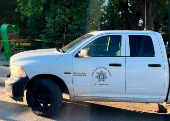 De Sonora, hombre asesinado en plaza de Rubio