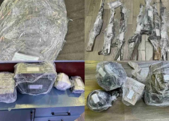 Detienen a 4 Adultos y 2 Menores por Portación de Armas en Sáric, Sonora