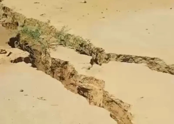 Enorme grieta se ‘traga’ a unos becerros en Sonora