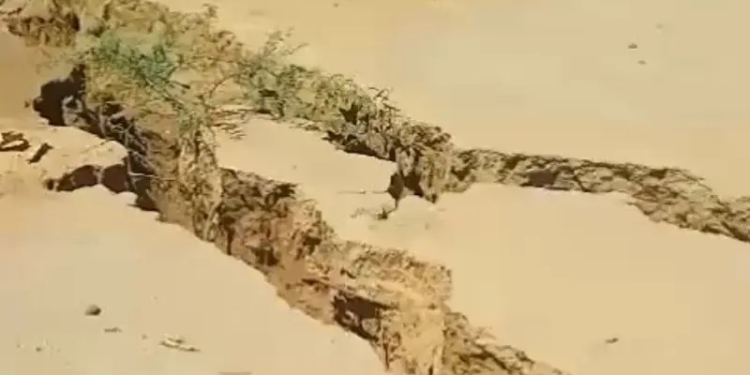 Enorme grieta se ‘traga’ a unos becerros en Sonora