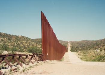 La muerte y la vida en el desierto de Sonora