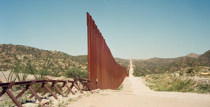 La muerte y la vida en el desierto de Sonora