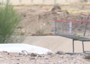 Encuentran Cráneo Humano en Calles de Hermosillo