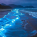 Estas playas de Sonora son ideales para ver la bioluminiscencia, un hermoso espectáculo visual