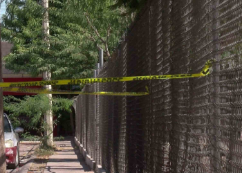Panal de Abejas en Escuela Primaria Moviliza a Bomberos en Hermosillo