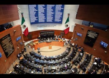 Pese a críticas, Morena perfila reelección de Piedra Ibarra en CNDH