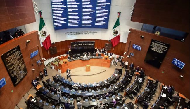 Pese a críticas, Morena perfila reelección de Piedra Ibarra en CNDH