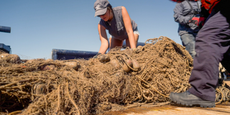 Dos redes gigantes tiradas en un día para proteger a la vaquita
