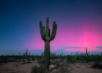 Auroras boreales iluminan el de Sonora: ¿Dónde verlas HOY 11 de octubre?