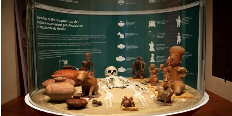 De vuelta a casa. Patrimonio arqueológico decomisado se exhibe en el Museo Regional de Sonora
