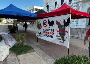 Amenazan galleros con tomar casetas y tesorerías municipales