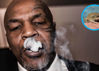 El día que Mike Tyson probó veneno del sapo de Sonora y ‘murió’
