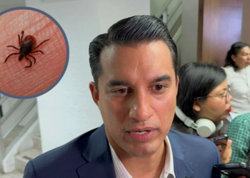 Refuerzan fumigación en escuela de Hermosillo tras reportes de garrapatas