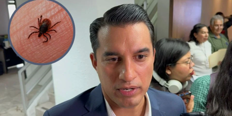 Refuerzan fumigación en escuela de Hermosillo tras reportes de garrapatas