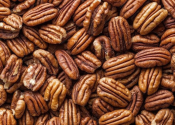 Sonora cerrará producción anual de nuez con 18 mil toneladas