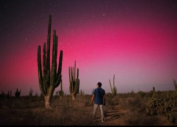 Auroras boreales captadas la noche del jueves desde el Bosque de Sahuaros entre Hermosillo y Kino