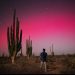 Auroras boreales captadas la noche del jueves desde el Bosque de Sahuaros entre Hermosillo y Kino