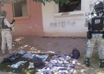 ¡Golpe a narcomenudistas! Aseguran más de 4 mil 900 dosis de droga listas para su venta