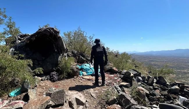 Destruyen campamentos de “halcones” de células delictivas; vigilaban a autoridades en franja fronteriza de Sonora y Arizona