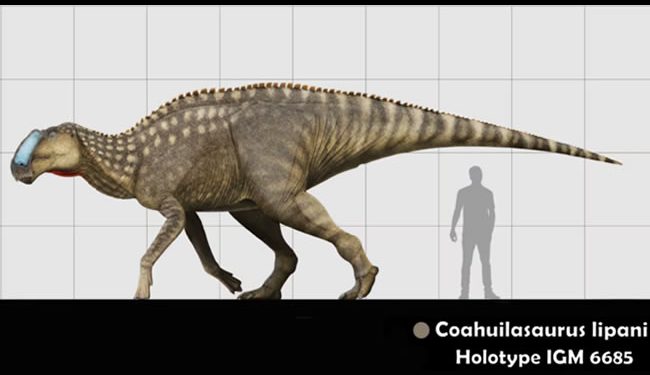 Así es el ‘Coahuilasaurus lipani’, la nueva especie de dinosaurio hallada en el norte de México