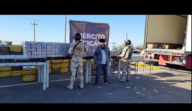 Golpe al millonario al narco: Ejército asegura casi una tonelada de cocaína en Sonora