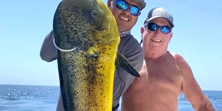 Por qué es tan codiciado el pez dorado, o mahi mahi: Estas son sus posibles razones