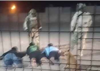 Militares agreden a tres hijos de periodista asesinado en Sonora el año pasado; están bajo resguardo del Mecanismo de Protección