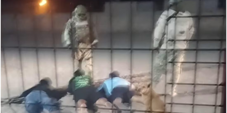 Militares agreden a tres hijos de periodista asesinado en Sonora el año pasado; están bajo resguardo del Mecanismo de Protección