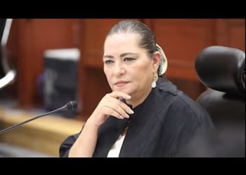 En el INE proponen controversia constitucional contra reforma que otorga más facultades a Guadalupe Taddei