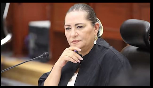 En el INE proponen controversia constitucional contra reforma que otorga más facultades a Guadalupe Taddei