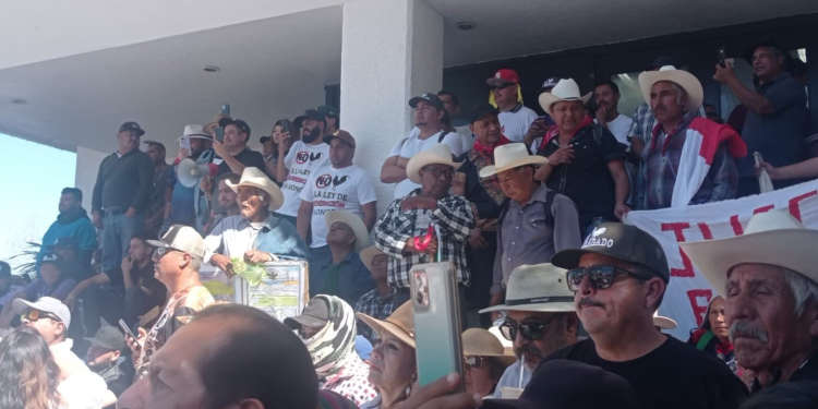 No ‘enmudeció el palenque’: galleros de Sonora logran acuerdo con diputados sobre prohibición de peleas y la Ley de Protección Animal