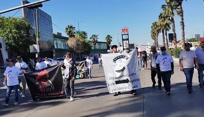 Da inicio “mega” marcha contra Ley de Protección y Bienestar Animal