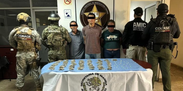 Operativo en Sonora deja a ocho personas detenidas en posesión de armas y drogas