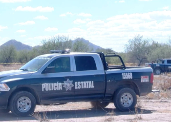 Violencia en Sonora: Asesinan a Adolescente y Encuentran Restos en Bolsas