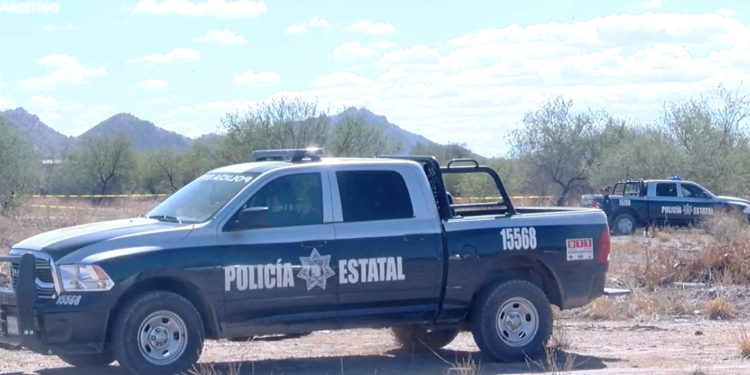Violencia en Sonora: Asesinan a Adolescente y Encuentran Restos en Bolsas