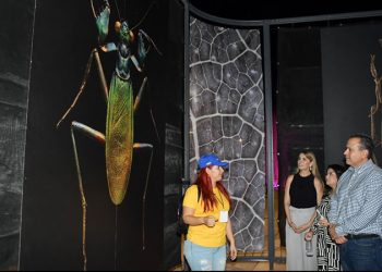 Inauguran Gobierno de Hermosillo y Fundación Coppel la exposición itinerante “INSECTUS” en el Parque Madero