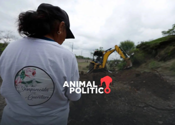 26 buscadoras han sido asesinadas o desaparecidas desde 2011; Guanajuato y Sonora son los estados más peligrosos