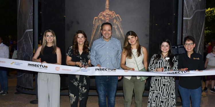Inauguran Gobierno de Hermosillo y Fundación Coppel la exposición itinerante “INSECTUS”