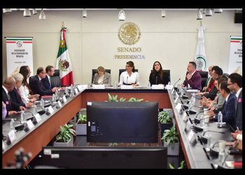 Instala Lorenia Valles Comisión de minería