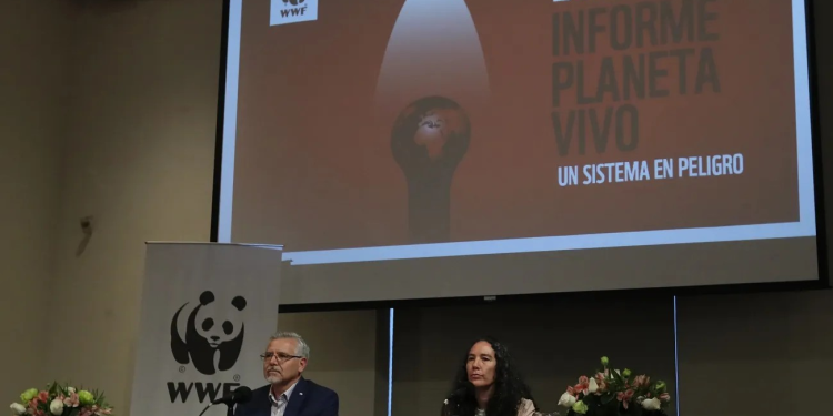 Agenda de Sheinbaum para México está “alineada” con WWF, dice organización ecologista