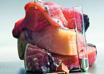 Las bondades del atún según la pesca y la especie