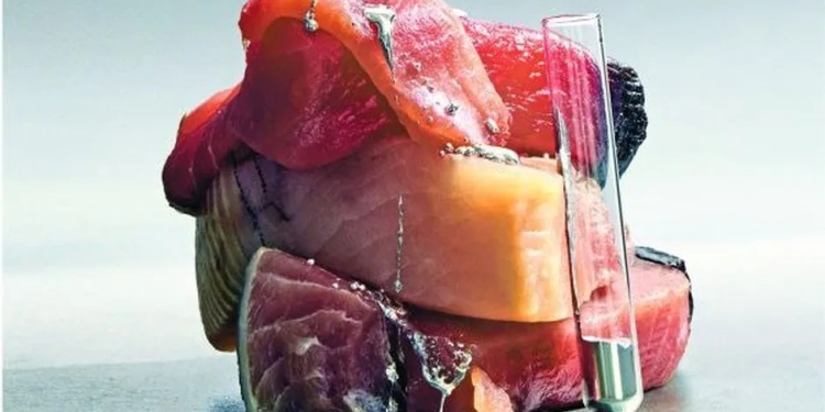 Las bondades del atún según la pesca y la especie