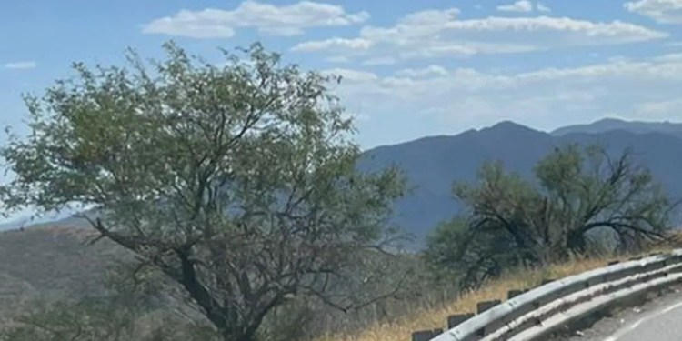 Se aproximan dos frentes fríos al noroeste de México; ¿cómo afectarán a Sonora?