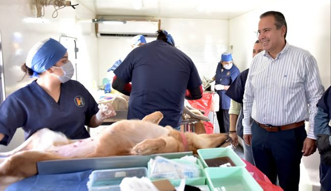 Atestigua Antonio Astiazarán jornada gratuita de esterilización de mascotas en Hermosillo