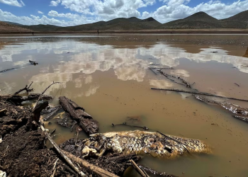 Cuáles son las presas de México que están en “focos rojos”