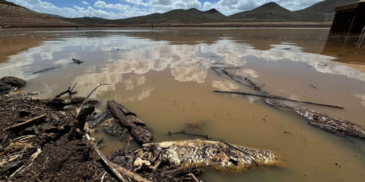 Cuáles son las presas de México que están en “focos rojos”