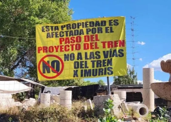Obras de tren en Sonora ponen en peligro al jaguar, acusan activistas