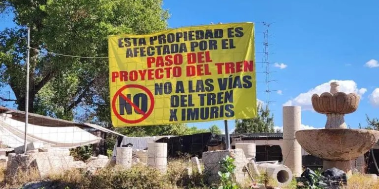 Obras de tren en Sonora ponen en peligro al jaguar, acusan activistas