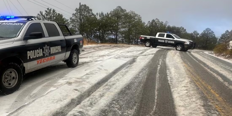 Se registran las primeras nevadas de la temporada invernal en Sonora; se esperan temperaturas de -10°C