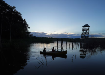 Qué es una reserva de la biosfera y por qué es clave contra el cambio climático